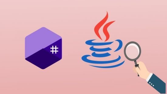 逆向工程&.NET & Java恶意软件分析入门视频教程
