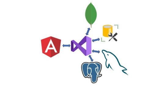 Angular 12 和 .NET Core Web API全栈开发从入门到精通视频教程