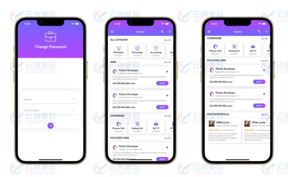 SeekJob求职招聘系统Flutter手机应用APP完整UI模板